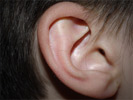 tvar ucha